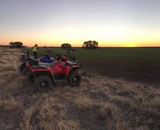 QLD Culling surveying at dusk